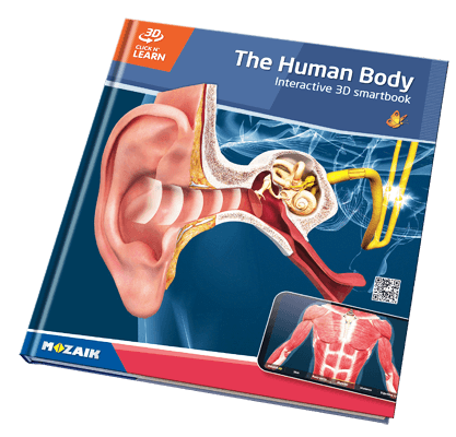 20 books with 800 3D scenes