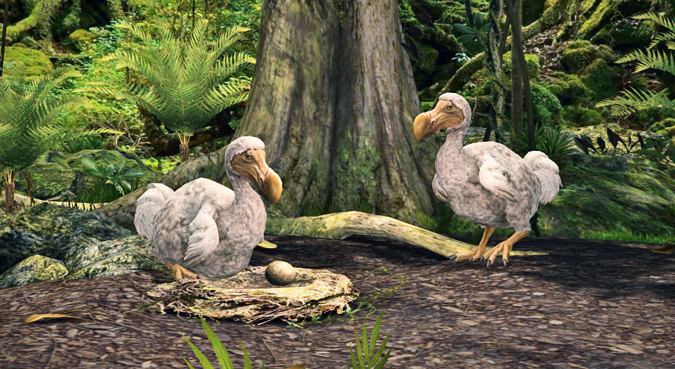 Dodo