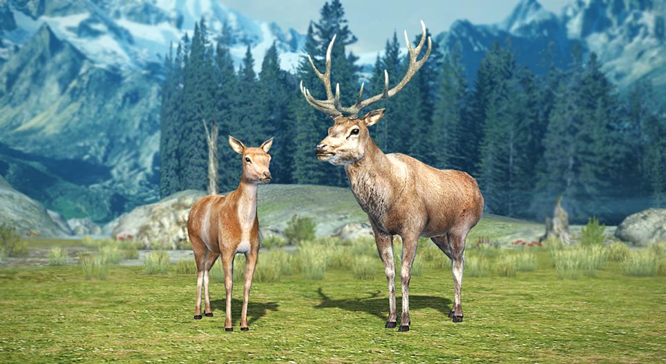 Obični (crveni) jelen