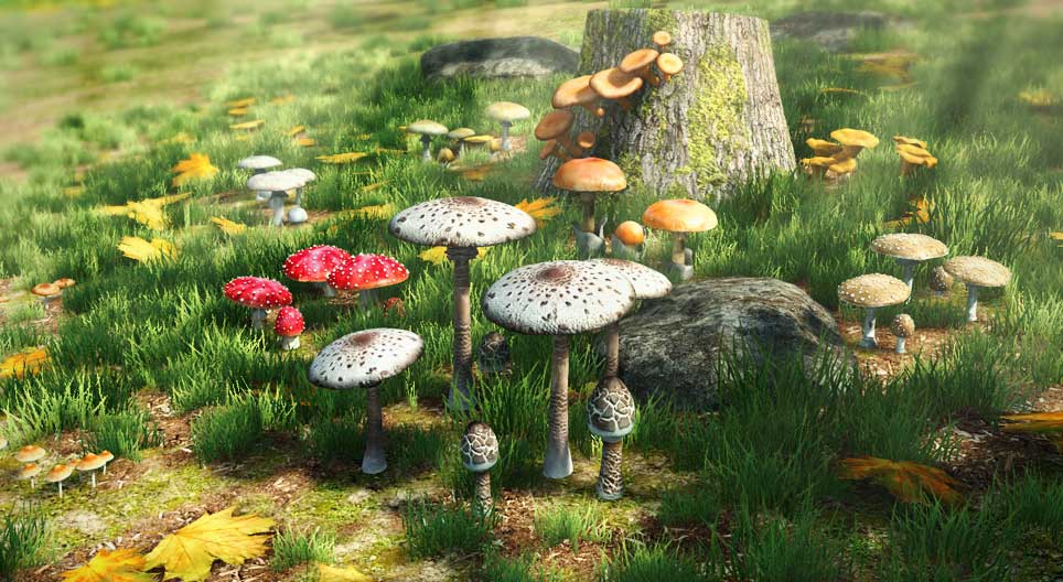 Usporedba jestivih i otrovnih gljiva