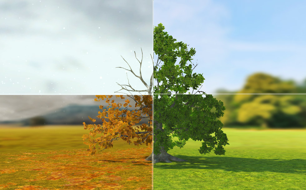 Hrast (početni stupanj)