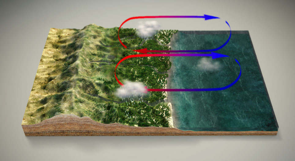 Monsunski sustav vjetrova