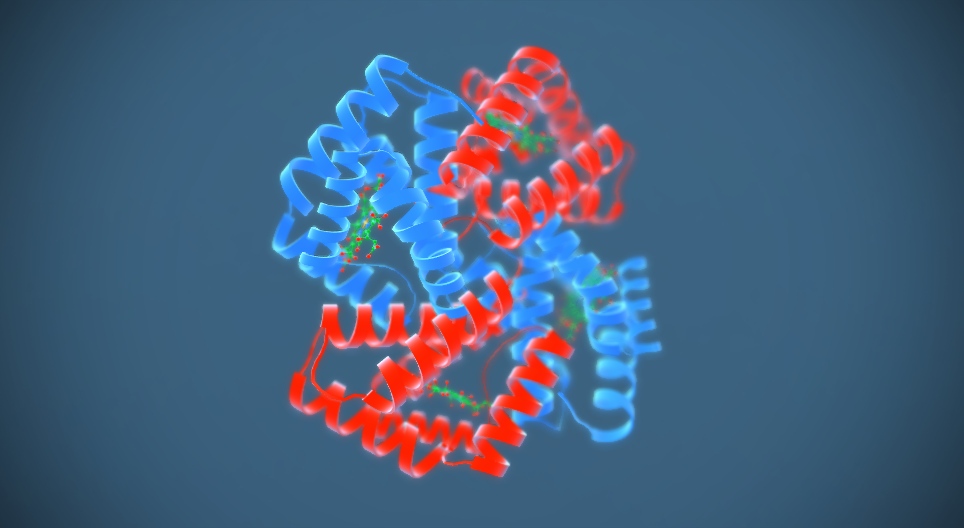 Hemoglobin