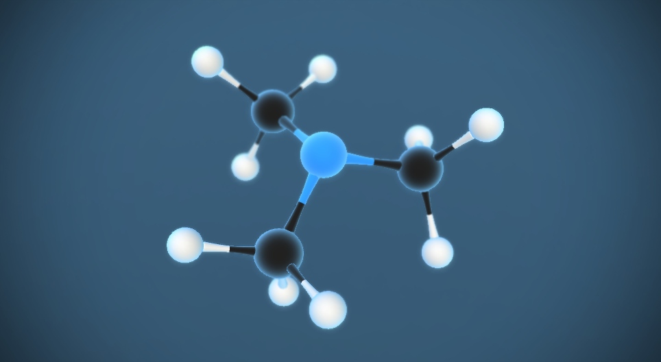 Trimetilamin N(CH₃)₃
