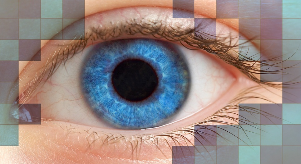 Obrazovni video zapisi