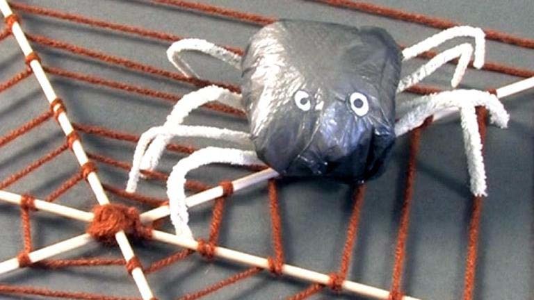 Obrazovni video zapisi