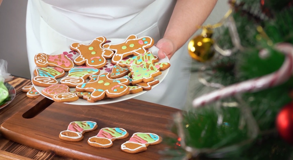 Obrazovni video zapisi