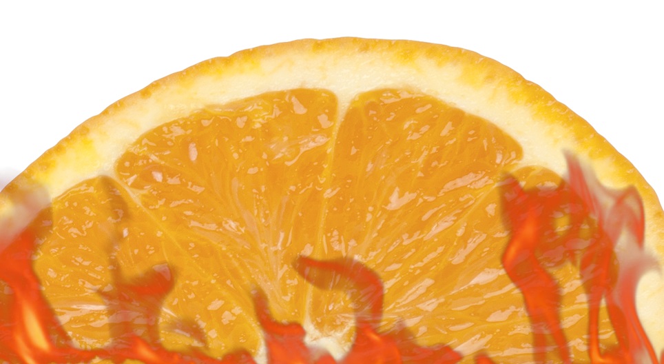 Obrazovni video zapisi