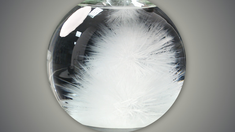 Obrazovni video zapisi