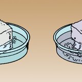 Šećer se lakše topi u toploj vodi nego u hladnoj vodi