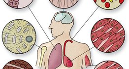 Tipovi stanica tkiva