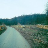 Pohranjeno drvo uz cestu