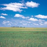 Velika mađarska nizina