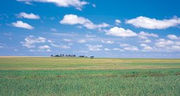 Velika mađarska nizina