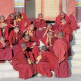 Tibetanski budistički redovnici