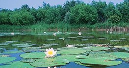 Jezero