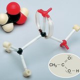 Molekula octene kiseline prikazana kalotnim i modelom štapića i kuglica