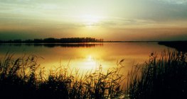 Zalazak