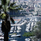 Luka Monte Carlo
