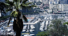 Luka Monte Carlo