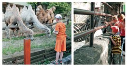 Šetnja zološkim vrtom