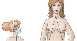 Hormonska regulacija oocita ili jajne stanice