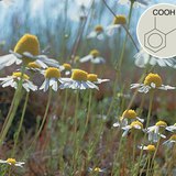 Derivati salicilne kiseline imaju pozitivan medicinski učinak