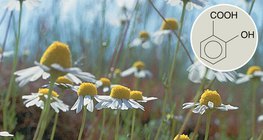 Derivati salicilne kiseline imaju pozitivan medicinski učinak