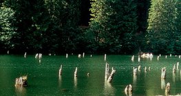 Crveno jezero u Transilvaniji stvoreno odronjavanjem