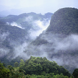 Prašuma Selva Lacandona