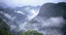 Prašuma Selva Lacandona