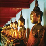 Kipovi Bude u mramornom hramu (Bangkok, Tajland)