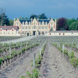 Vinogradi u Bordeauxu, domu najpoznatijih francuskih crnih vina