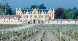 Vinogradi u Bordeauxu, domu najpoznatijih francuskih crnih vina