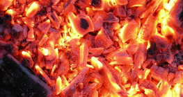 Ugarci