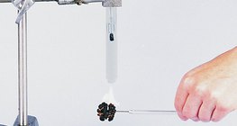 Ispitivanje energetske gustoće oraha