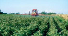 Ravnice su najvažnija područja poljoprivrede