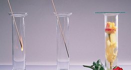 Kisik podržava gorenje, dušik ga ne podržava, klor izbjeljuje