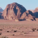 Wadi, arapski izraz za suho korito rijeke