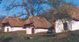 Slamnate kuće