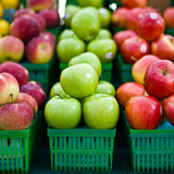 Različite vrste jabuka