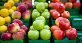 Različite vrste jabuka