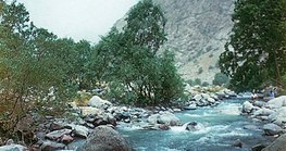 Planinski potok u planinama Pamir