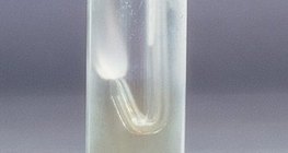 Vodik će nastaviti goriti u klornom plinu