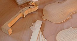 Izrada violine - faza 1