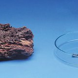 Drvo sporo trune ali zato brzo gori