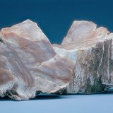 Drveni opal