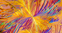 Kristali lijeka aminofilin