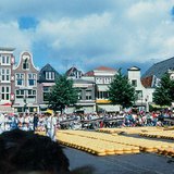 Tržnica sira u Alkmaaru