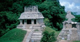 Tropska prašuma s ruševinama